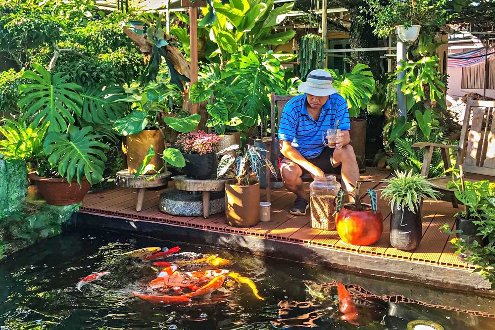 Về quê 'trốn dịch', 8x tự tay xây homestay như Đà Lạt, làm hồ cá Koi đẹp mê ly