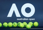 Lịch thi đấu đơn nam Australian Open 2022 mới nhất
