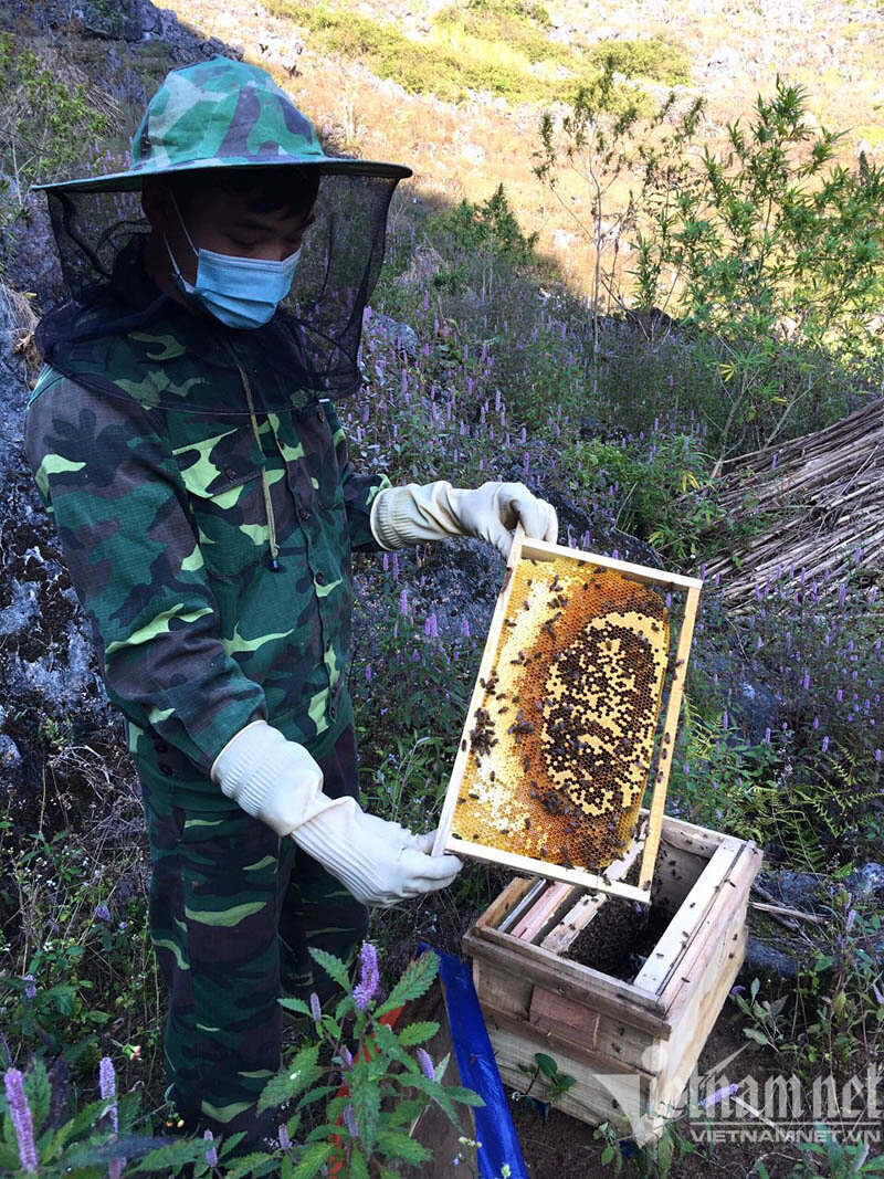 Stone Plateau specialty: waiting for flowers to blossom for honey production