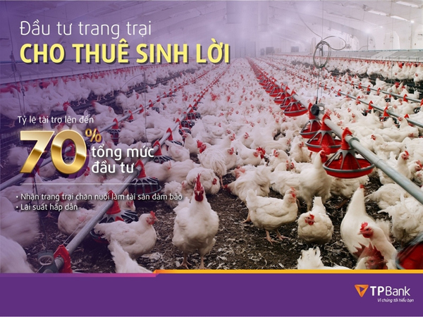 Vay xây dựng trang trại chăn nuôi để cho thuê với lãi suất từ 8%/năm