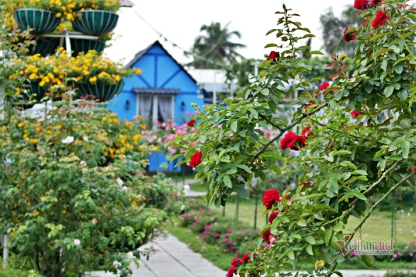 Tản mạn về Tết