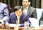 Tenure on UN Security Council elevates Vietnam's foreign policy stature: Ambassador