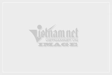 Tổng thống Kazakhstan tuyên bố đã dập tắt được bạo loạn