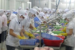 Tiền Giang chú trọng phát triển công nghiệp phục vụ nông nghiệp chất lượng cao