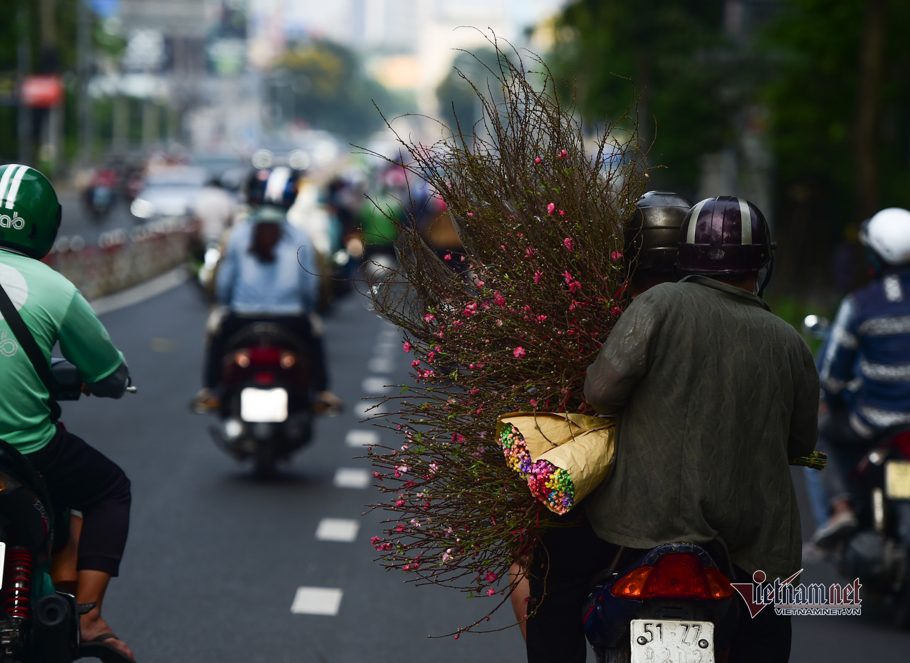 Sài Gòn 'vùng xanh' rộn ràng sắc xuân đón năm mới