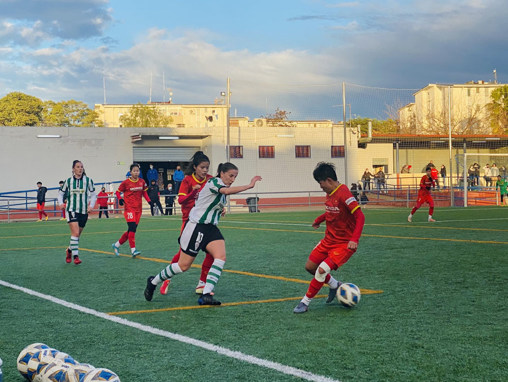 Nhận định, soi kèo Adelaide City FC vs West Torrens Birkalla, 16h45 ngày 17/3: Không có bất ngờ