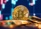 The mistake that caused many people to lose money for cryptocurrencies