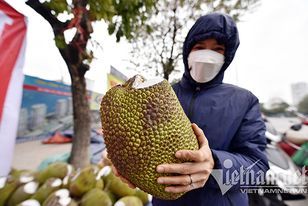 Xuất tiểu ngạch sang Trung Quốc là hàng kém: Thứ trưởng giải nỗi hàm oan