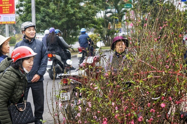 Hải Phòng tổ chức 1 điểm bắn pháo hoa, 18 chợ hoa xuân Nhâm Dần