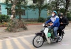 'Người hùng' Trung Văn Nam mặc áo đồng phục, lái xe cà tàng đi nhận bằng khen