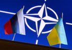NATO lên án vụ tấn công mạng Ukraina, Nga phản bác cáo buộc của Mỹ