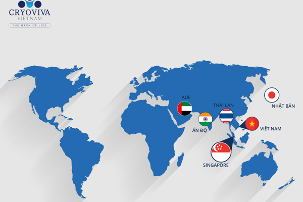 Ngân hàng Mô Cryoviva Việt Nam hỗ trợ điều trị máu cuống rốn đến 300 triệu đồng