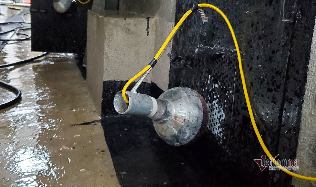 Chuyện về bức ảnh duy nhất chụp cá thể hổ rừng ở Việt Nam