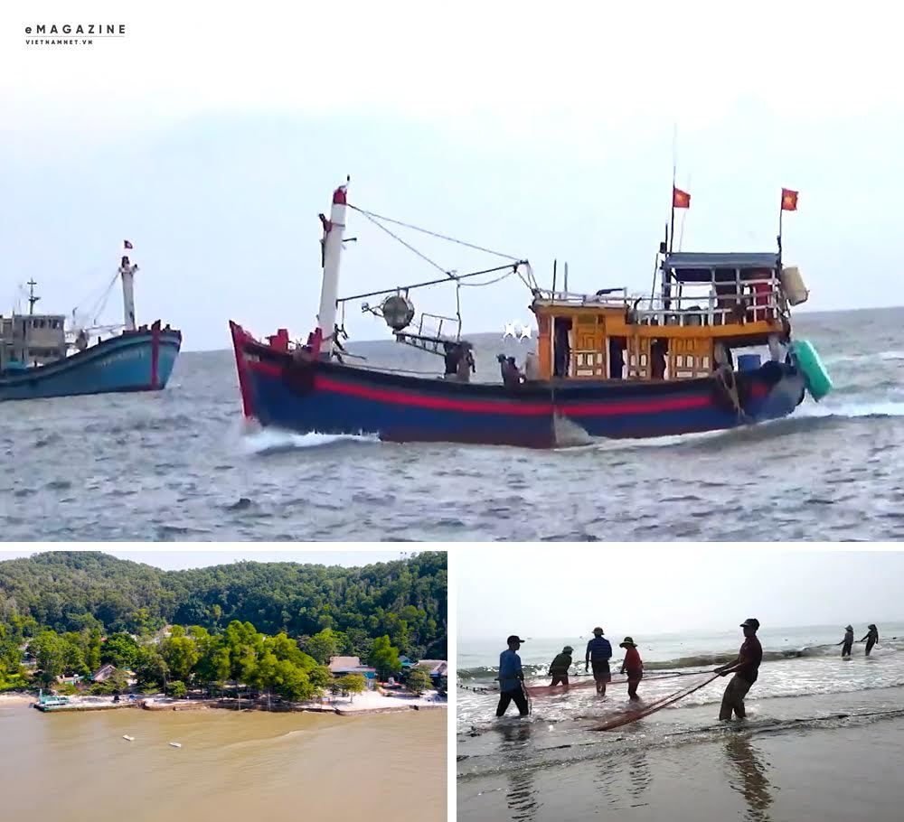Bác Hồ