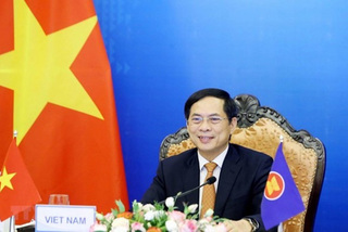 FM Bui Thanh Son to visit Cambodia this week