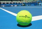 Lịch thi đấu đơn nữ Australian Open 2022 mới nhất
