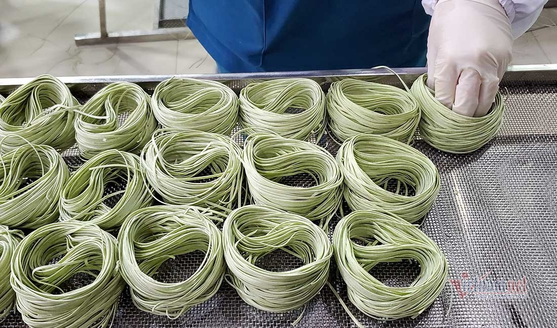 Người phụ nữ xứ Nghệ trồng lúa mạch trên đồng đất nắng gió miền Trung