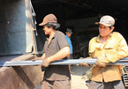 Some 1.3 million Vietnamese workers to lose jobs in 2022: ILO