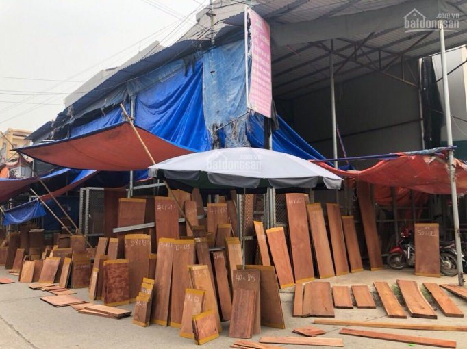Khu chợ độc nhất Việt Nam, chỉ bán duy nhất 1 loại gỗ quý hiếm