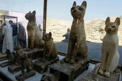 Bí ẩn xác ướp mèo thật giả lẫn lộn trong ngôi mộ cổ ở Ai Cập