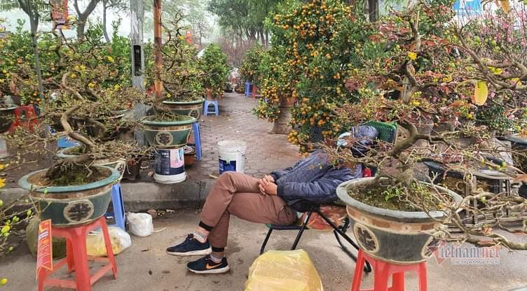 Cảnh hiếm có ở chợ hoa xuân lớn nhất Hà Nội ngày cận Tết