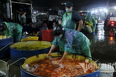 Trước ngày ông Táo lên trời, cá chép nhuộm đỏ chợ cá lớn nhất Hà Nội