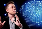 Tại sao các CEO như Elon Musk, Steve Jobs lại không xem trọng bằng cấp?