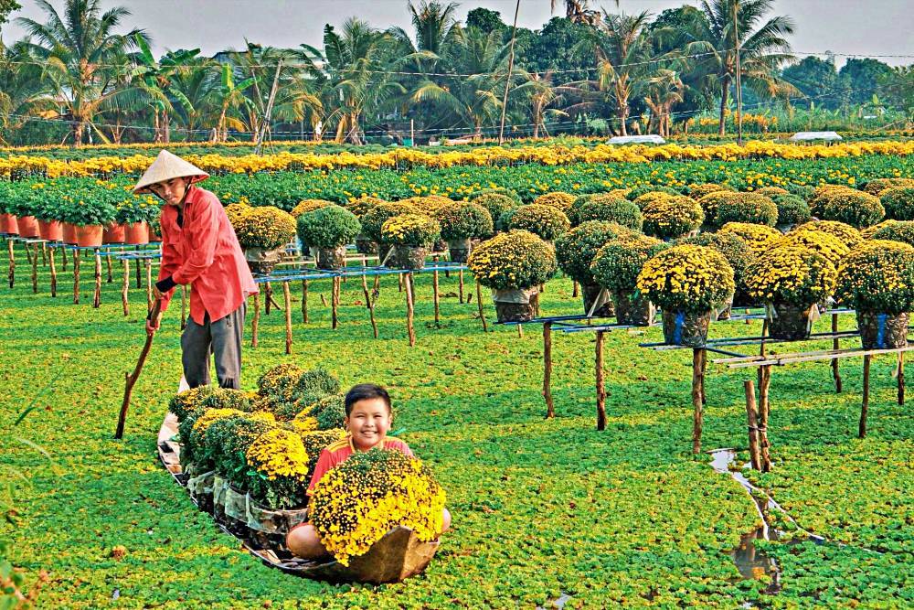 Largest flower village in Mekong Delta welcomes traders, tourists before Tet