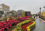 New pedestrian and flower streets open in Hanoi