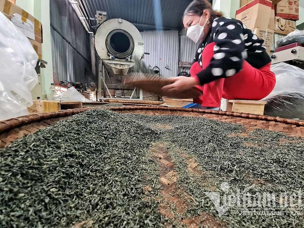 Cho chè 'ăn' trứng gà, huyện ở Thái Nguyên chia nhau bọc tiền 1.200 tỷ