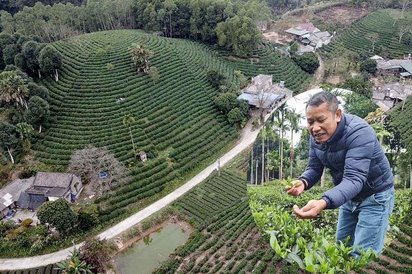 Cho chè 'ăn' trứng gà, huyện ở Thái Nguyên chia nhau bọc tiền 1.200 tỷ