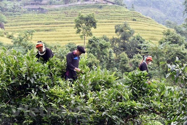 Diện mạo nông thôn vùng dân tộc thiểu số, miền núi chuyển biến tích cực