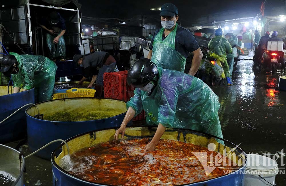 Hanoi’s largest fish market on the most special day of the year