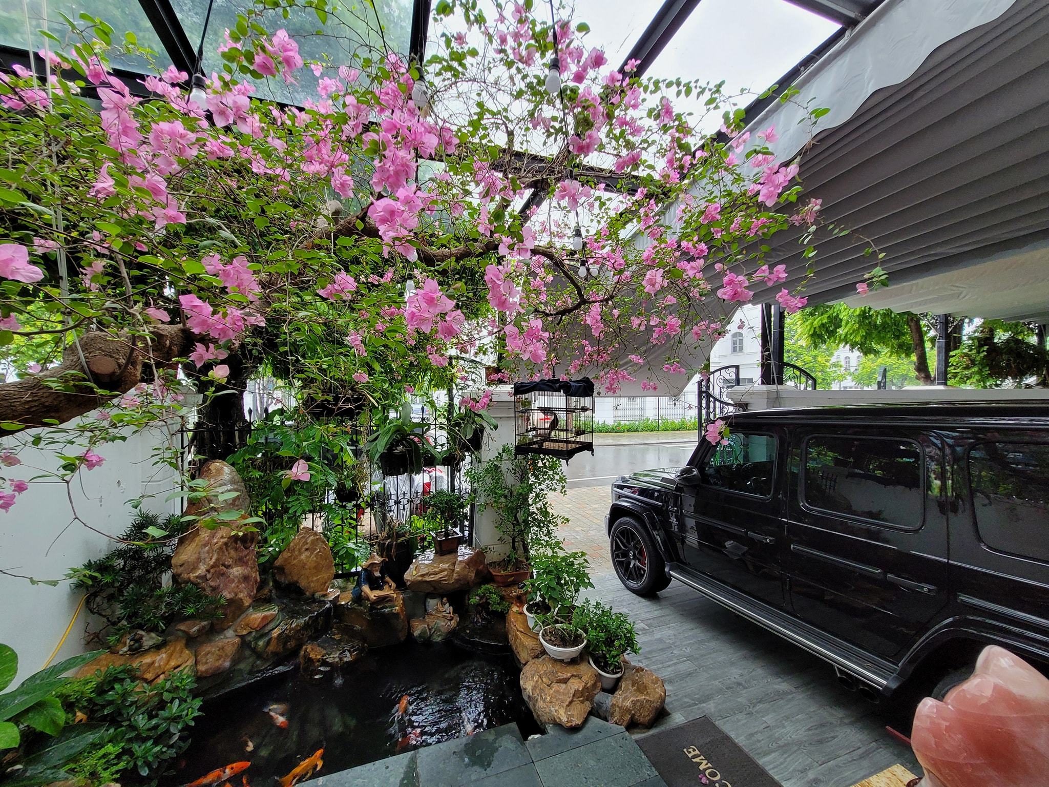 Tài sản vợ chồng Tuấn Hưng
