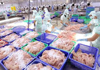 Global free trade agreements offer key to burgeoning seafood performance