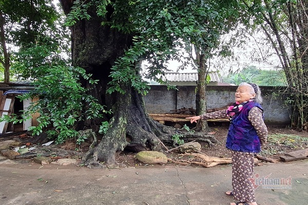 Làng cổ tích bên bờ sông Son và đặc sản 'thị xanh nấu với nhái bà'