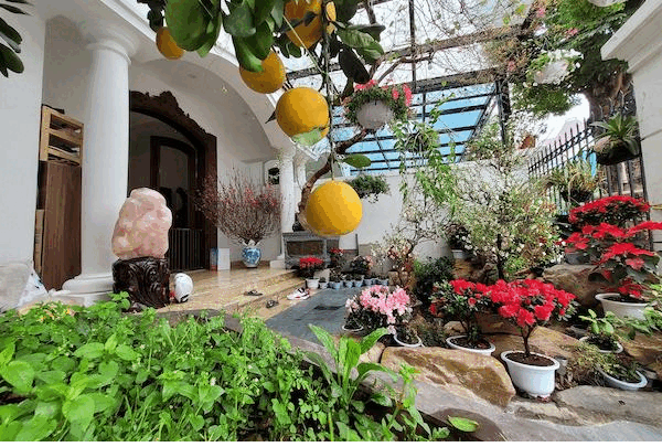 Biệt thự sang trọng ngập hoa Tết của Tuấn Hưng và vợ chủ tịch