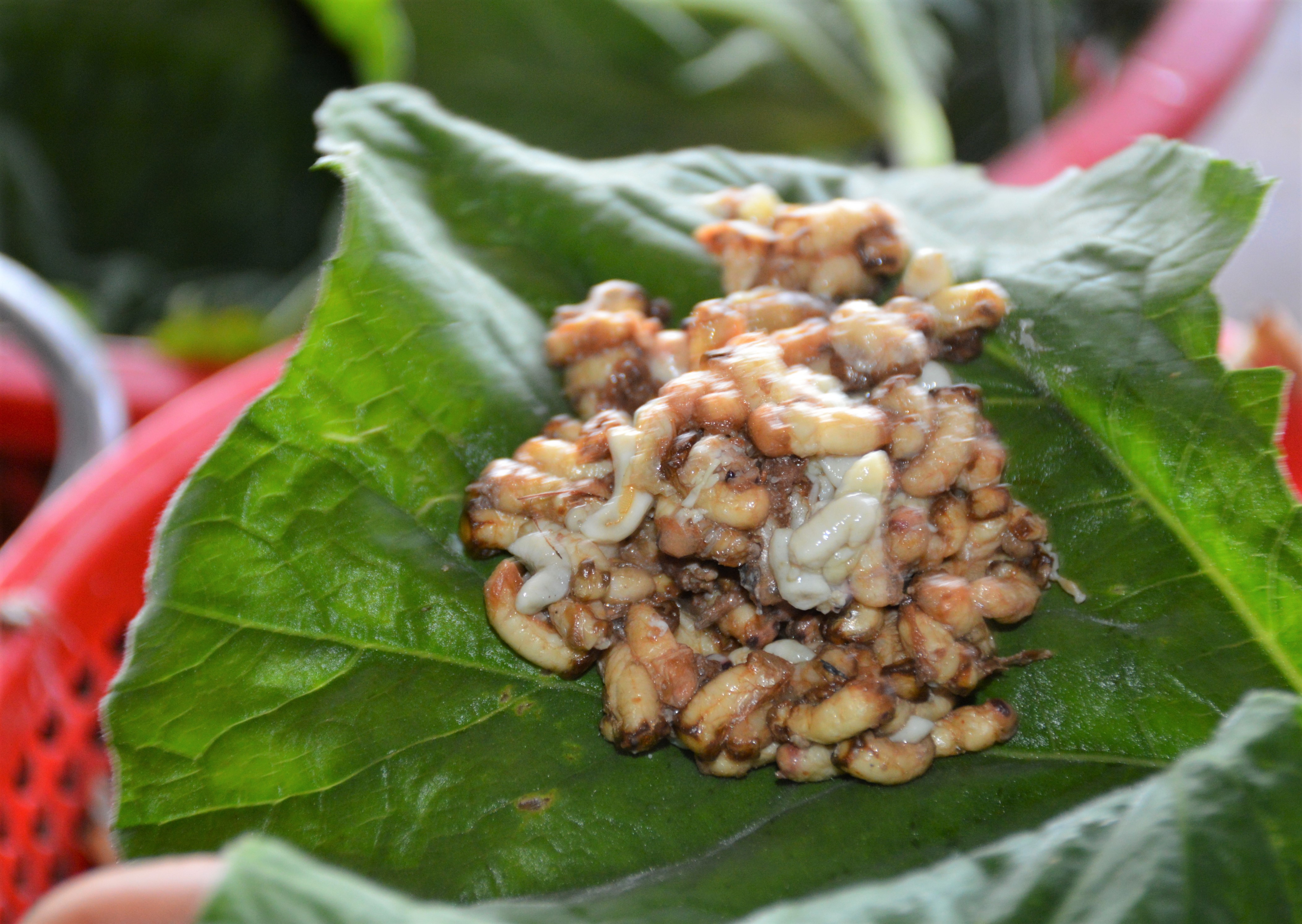 Đặc sản xứ U Minh: nhộng ong, nhìn phát sợ nhưng ăn là ghiền