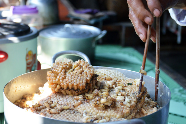 Đặc sản xứ U Minh: nhộng ong, nhìn phát sợ nhưng ăn là ghiền