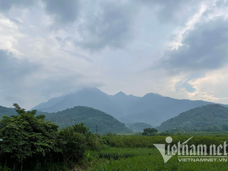 Về quê ăn Tết Nguyên Đán, giật mình giá đất tăng 'dựng đứng'