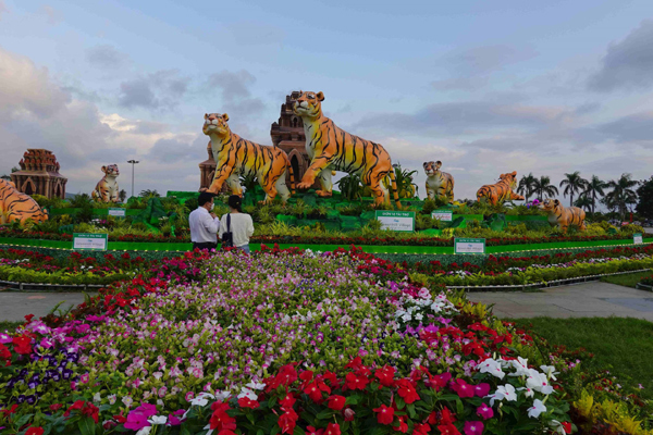 Gia đình Hổ ‘sum vầy đón Xuân’ tại Bình Định