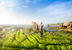 Du khách mê tắm biển Mũi Né, săn rêu Cổ Thạch tại Bình Thuận dịp Tết Nguyên Đán