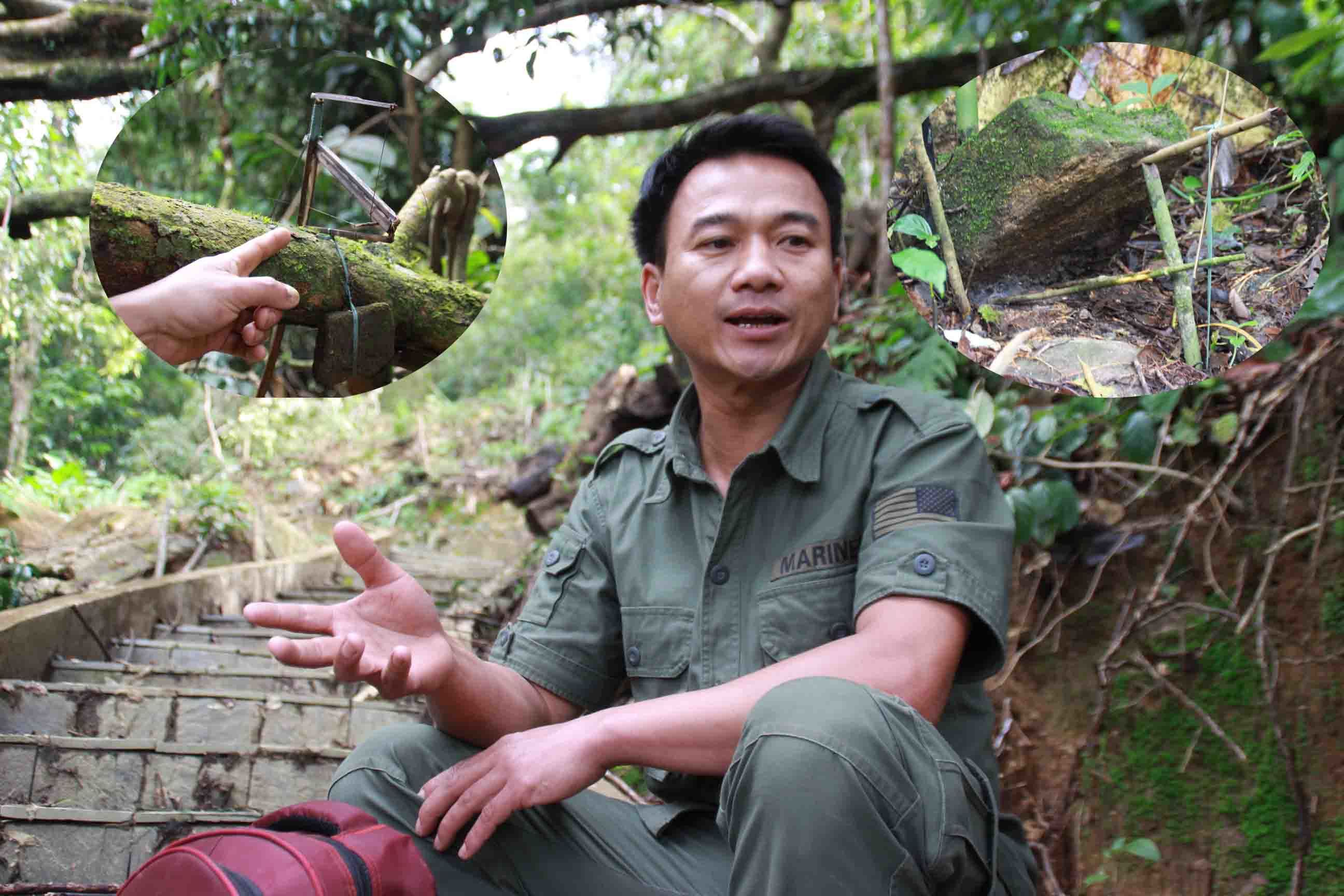 The guard of ginseng trees on Ngoc Linh Mountain