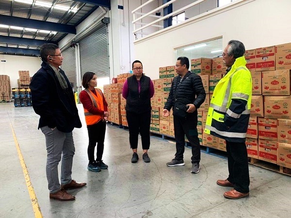 Sợi dứa Việt Nam đan túi hàng hiệu trời Tây, dệt Kimono ở Nhật