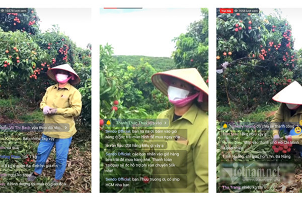 Farmers go digital: 85 tons of fruits sold via livestream