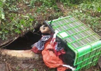 Phát hiện thi thể nữ giới dưới hầm biogas ở Thanh Hóa