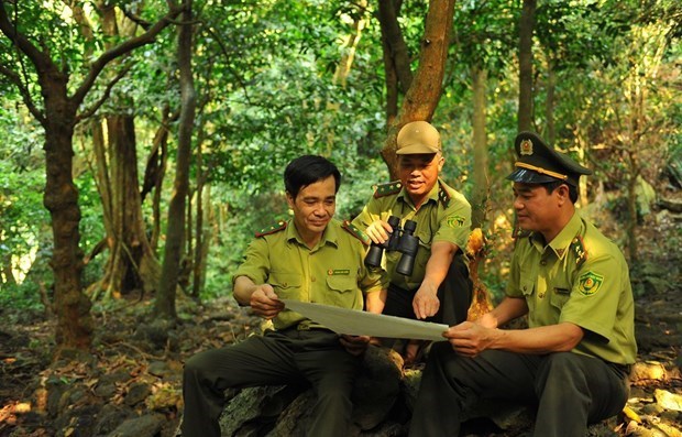 ‘Forest school’ helps spread love for nature