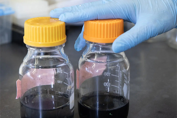 Bí ẩn về Covid-19 trong nguồn nước thải ở Mỹ