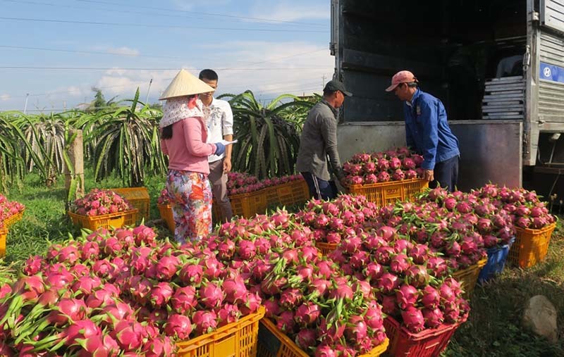 Thông đường sang Trung Quốc, giá trái cây tăng dựng đứng