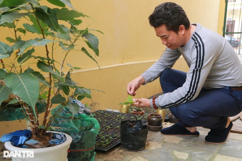 Nghề độc lạ ở Ninh Bình: Không cho lá rụng... về gốc